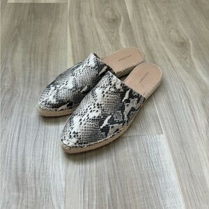 halogen new slides